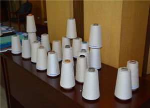 組圖 全國針織用紗線產品質量提升活動總結會在魏橋集團召開